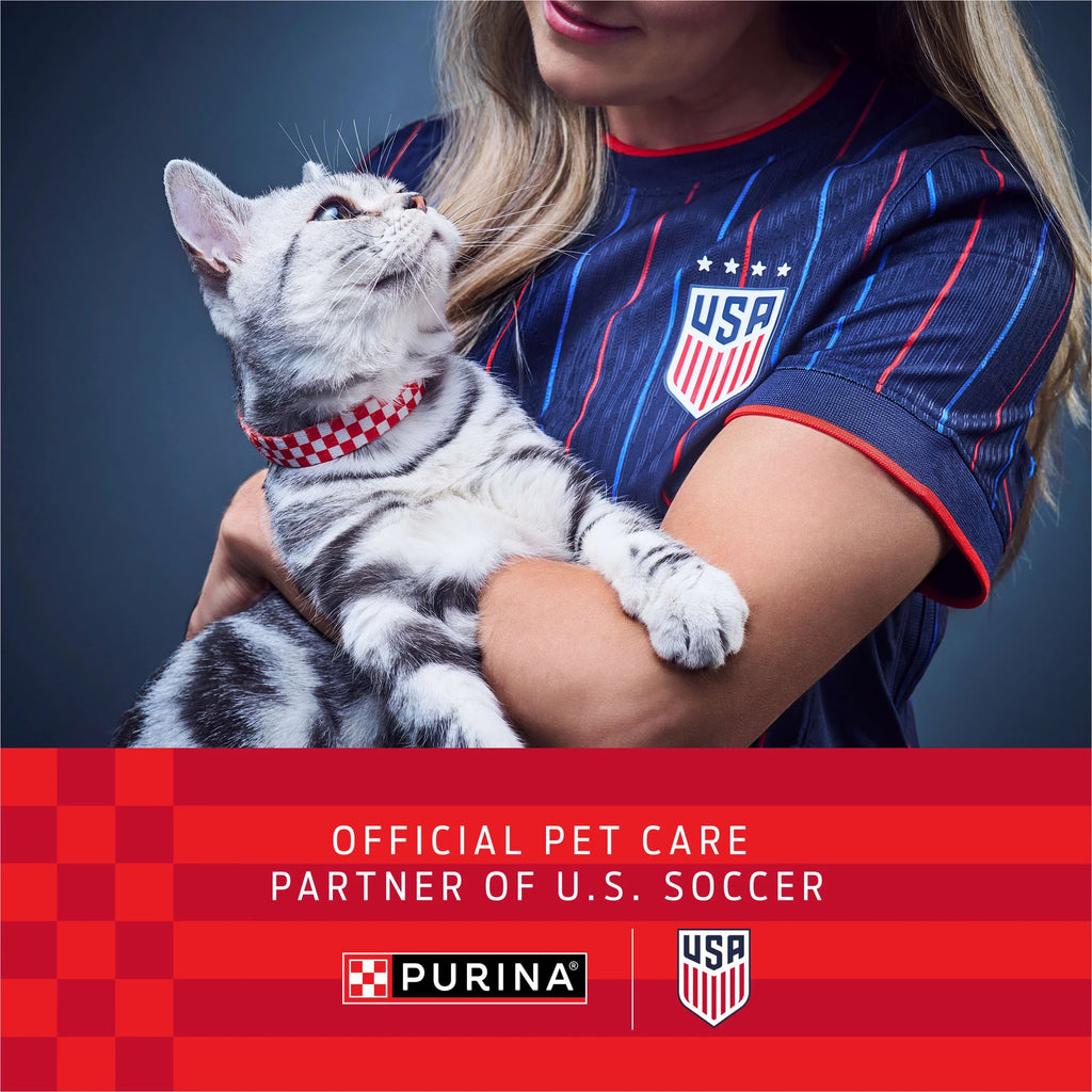 Purina 4-in-1 Strength Clumping Cat Litter with Floral Scent, 35 lb Pail