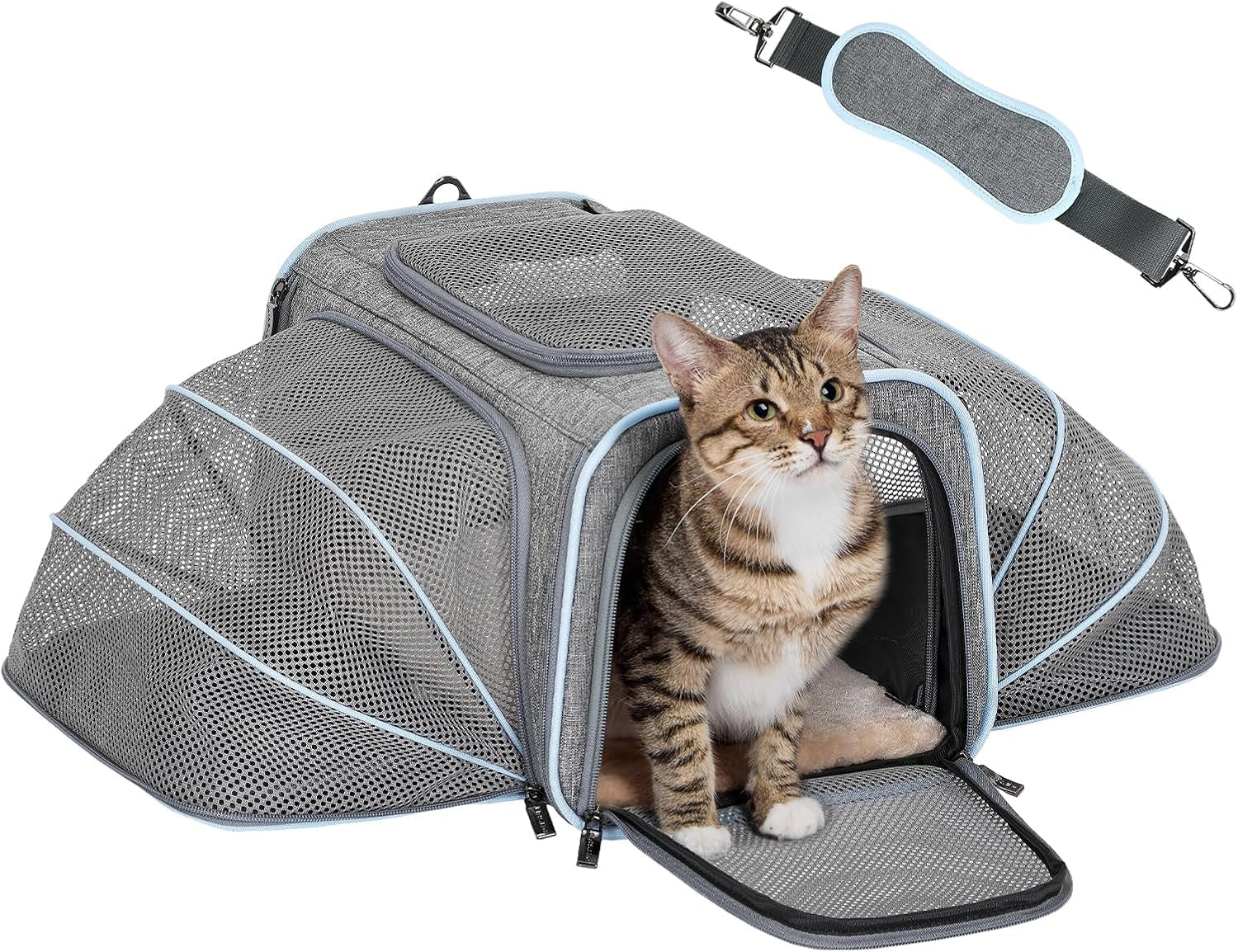 Expandable Soft-Sided Pet Carrier for Cats and Small Dogs, Airline Approved, Washable, with Two Extensions for Pets Up to 9 lbs